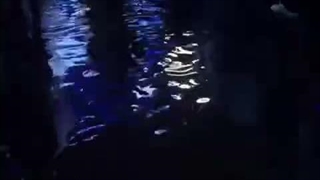 اجرای Swim همزمان با بارون در کنسرت تورنتو BTS