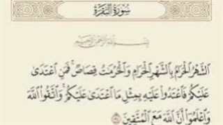 مقابله ی به مثل با در مسائل امنیتی محسن شفیعی
