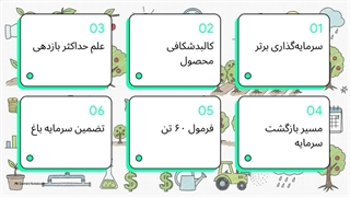 نهال گیلاس تکدانه مشهد