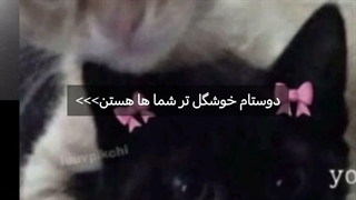 برای فالوور های کانالم  ♡My friend♡