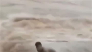 لحظه نجات مرد گرفتار در سیلاب توسط یک فیل