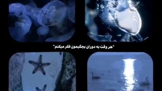 بدون عنوان...
