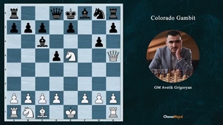 گامبی کلرادو – روش رد کردن آن
