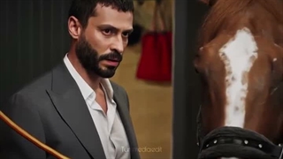 Hayat gibi