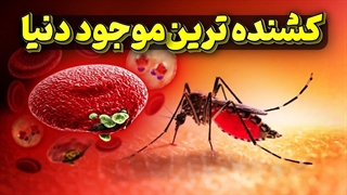 پشه، قاتل بیش ازسیصد میلیون انسان و دستاورد مهلک آن مالاریا