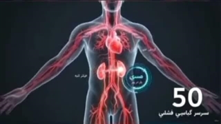 کلیه