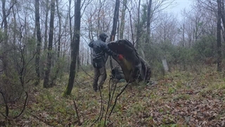 SOLO Tarp Camping
