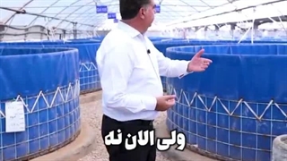 پرورش ماهی تیلاپیا در ایران