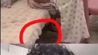 حق و باطل حیا