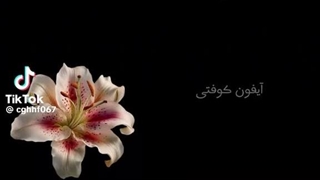 خب دوباره کپشننن