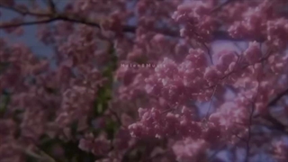آرامش