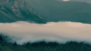 آخر قصه چه می شود