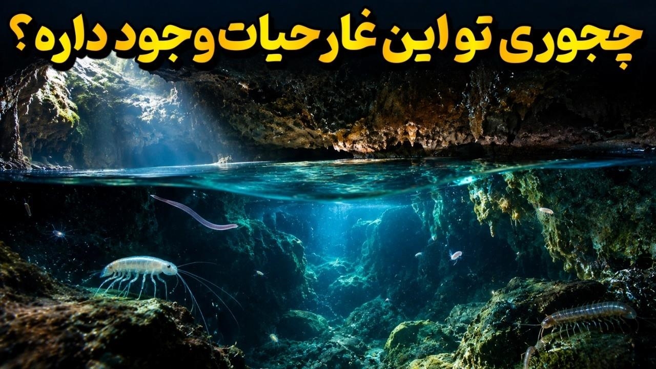 غار مویلا؛ منزوی ترین اکوسیستم روی زمین که ۵.۵ میلیون سال پنهان بود!