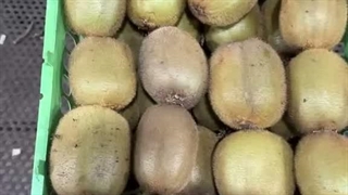 سردخانه