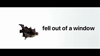Mace fell out of a Windu - Lil Vader اهنگ  از اسکایواکر