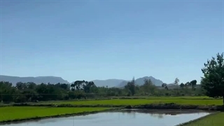 سلام خدا. اینم شروع آخرین هفته تابستون!