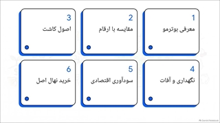 راهنمای جامع خرید و کاشت نهال آلبالو بوترمو