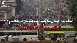 وای نه....فقط حیوونا رو نه....:)