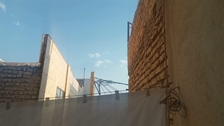 بریدن غیب کردن سر سگ زرد آمریکایی رو ابرها انتقام سخت