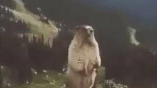 شما ۹۹ درصد تابستون خود را تموم کردید