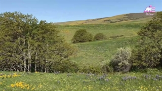 رنجی که داری ، شاید یک پیام مهم برای توست !!