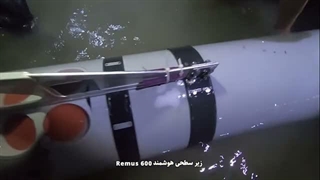 رهگیری و شکار