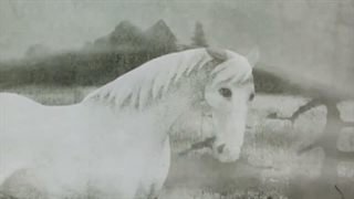 Pold [The Field] [1978] Classic Soviet Animation from Tallinnfilm