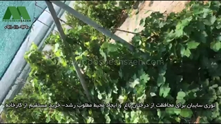 توری سایبان بوشهر برای گلخانه و نت هاوس | 09177587632 ارسال مستقیم کارخانه