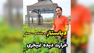 دیاستانز در عسل چه چیزی را نشان می‌دهد؟