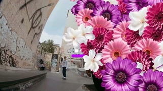 ترانزیشن های گل برای افترافکت + دانلود