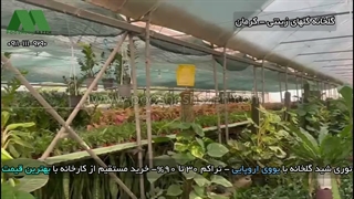 توری شید گلخانه زرند و کرمان | 09130365864 خرید مستقیم توری سایبان از کارخانه