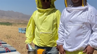 عسل چهل گیاه برداشت ۱۴۰۵