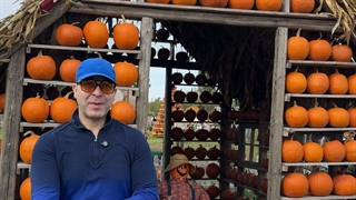 وبینار تخصصی؛ فرصت‌ها و مسیرهای جدید در اروپا