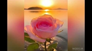 تقدیم به فامیلم نرگس جونم سال۱۴۰۵:)