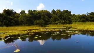 تصنیف اندیشه عشاق، خواننده و آهنگساز، رضاکاکولوند، شعر از حافظ شیرازی، در مایه ی سه گاه