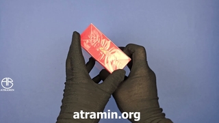 آنباکسینگ عطر  رصاصی هوس روژ در عطرآمین