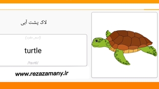 صفر تا صد زبان انگلیسی درس ۱۳۴ خزندگان و دوزیستان