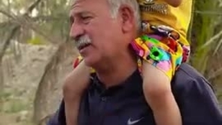 معامله گر حرفه ای