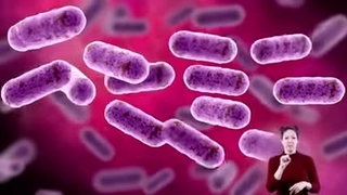 Virus and bacteria