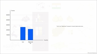 Iranian vs Afghan Anjeer
