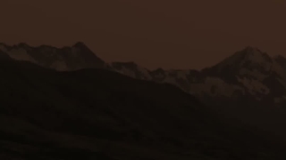 فمنیسم