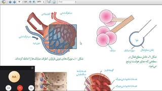 آموزش و حل تست 09149285452  زیست استاد غیاثی  @zisttestghiassi
