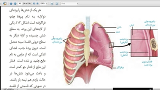 آموزش و حل تست 09149285452  زیست استاد غیاثی  @zisttestghiassi