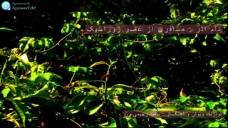 تکنوازی ویولن سعید رحیمی ور_ مسافری از عصر ژوراسیک