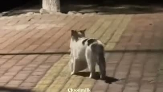 ☆