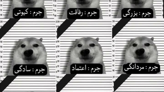 امروز روز جهانی پسر نیست بلکه روز جهانی خوشحال کردن سگ هاست