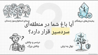 معرفی نهال به ترش آذربایجان