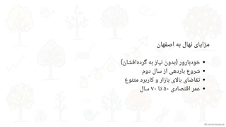 راهنمای کامل معرفی نهال به اصفهان