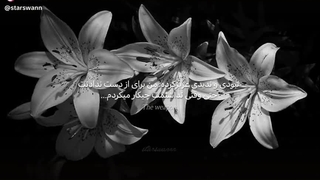 آره نبودی ندیدی