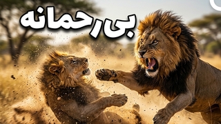 قانون بی_رحم گله؛ ضعیف_ها چه سرنوشتی دارند؟